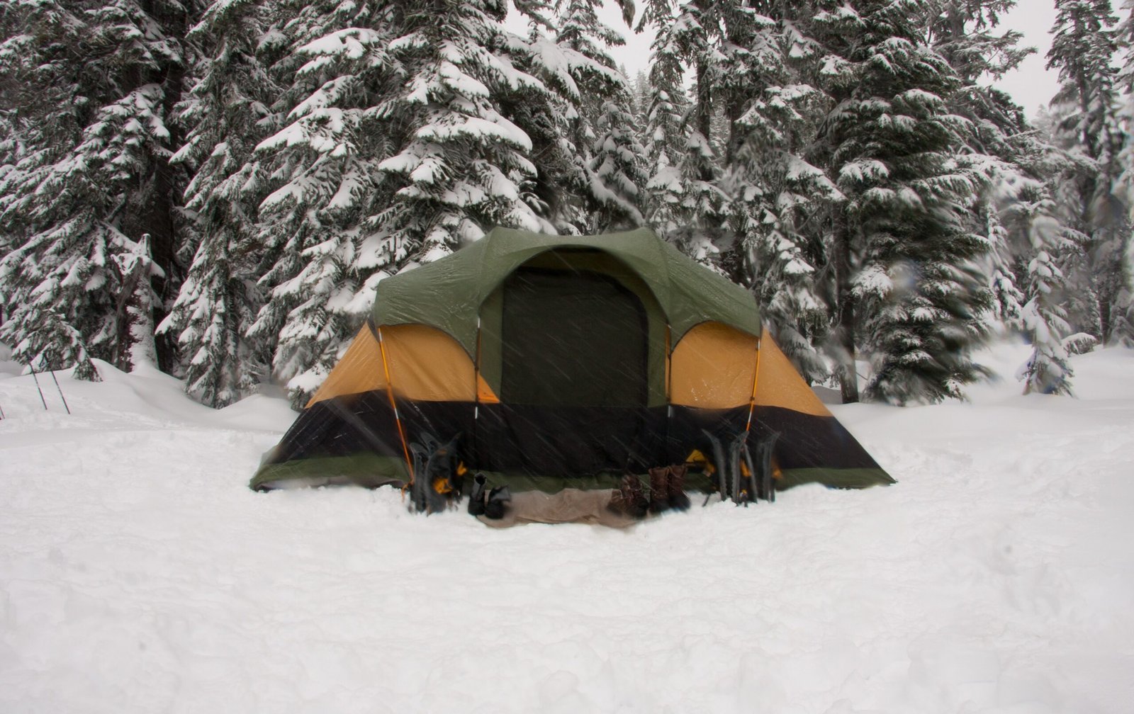tent in the snow