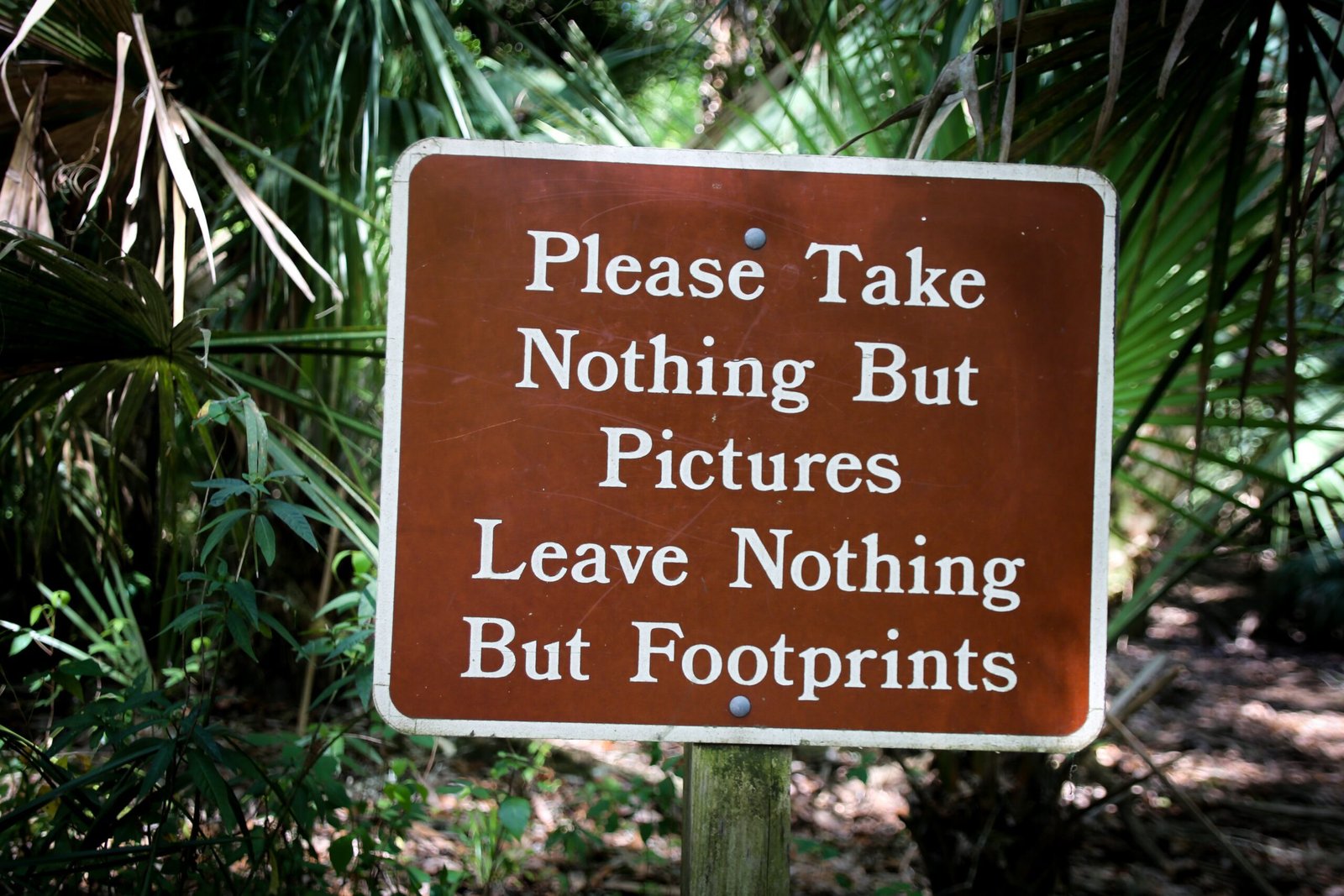 The 7 Leave No Trace Principles